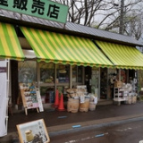 自家焙煎珈琲かふぇもか店の画像