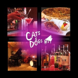 cats&dogs キャッツ&ドックス 札幌の画像