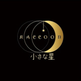 小さな星 Raccoonの画像