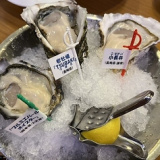 Oyster Bar ジャックポット国際ビルの画像