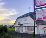 グルテンフリー専門店 Cellule セルールの画像