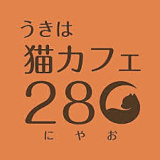 うきは猫カフェ28○ にゃおの画像