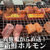 新鮮食肉センター モツマニアの画像