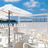 逗子海岸海の家 WILD BOAR ワイルドボアの画像