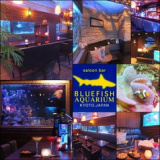 ブルーフィッシュ アクアリウム 京都 BLUEFISH AQUARIUMの画像