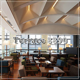 Terrace テラス 8890の画像