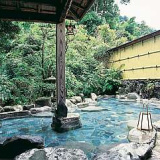 源泉掛け流しの宿 七滝温泉ホテルの画像