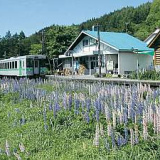 駅の宿ひらふの画像