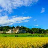 大峯温泉 ゑしんの里 やすらぎ荘の画像