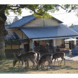 The Deer Park Innの画像